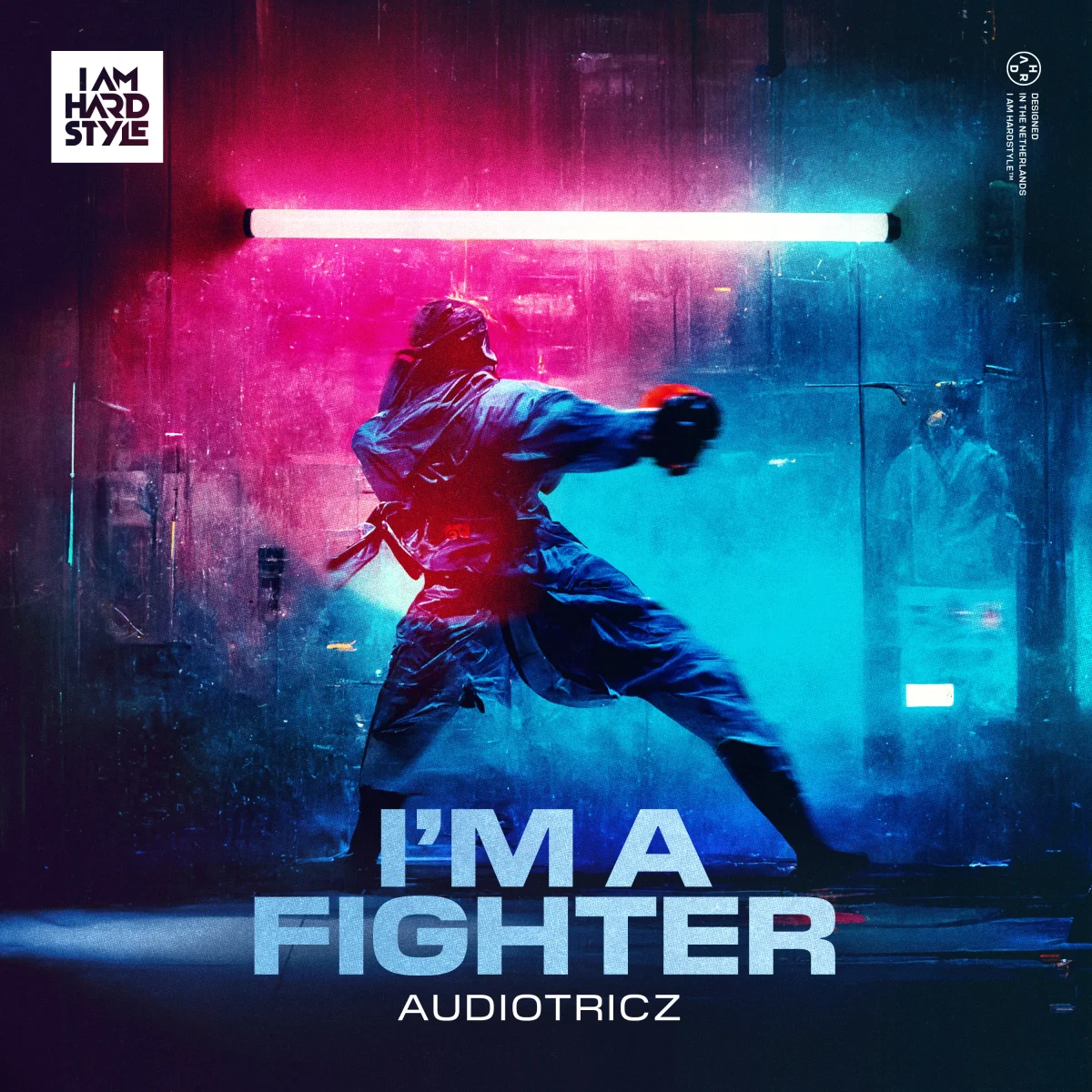 I'm a Fighter
